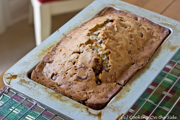 Chocolate Chunk Zucchini Bread - right out of the oven